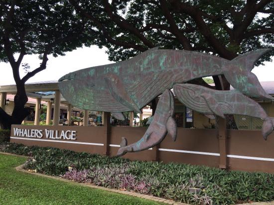 Musée de Whalers Village